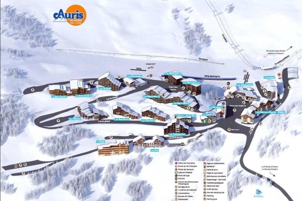 Appt 43 M2 Station Auris En Oisans - Alpes D Huez Appartamento Esterno foto